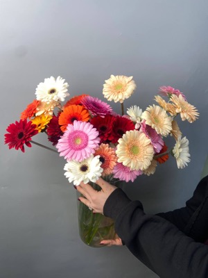 Гербера микс with delivery to Astana