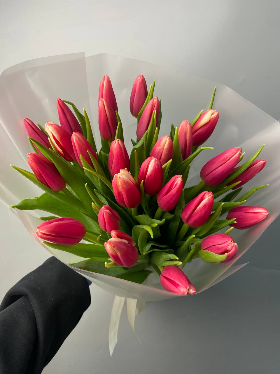 Розовые тюльпаны 25 шт с доставкой по Астане
