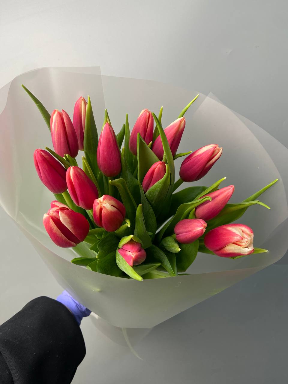 Розовые тюльпаны 15 шт с доставкой по Астане