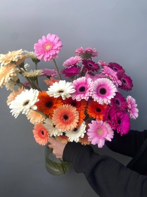 Гербера розовая микс with delivery to Astana