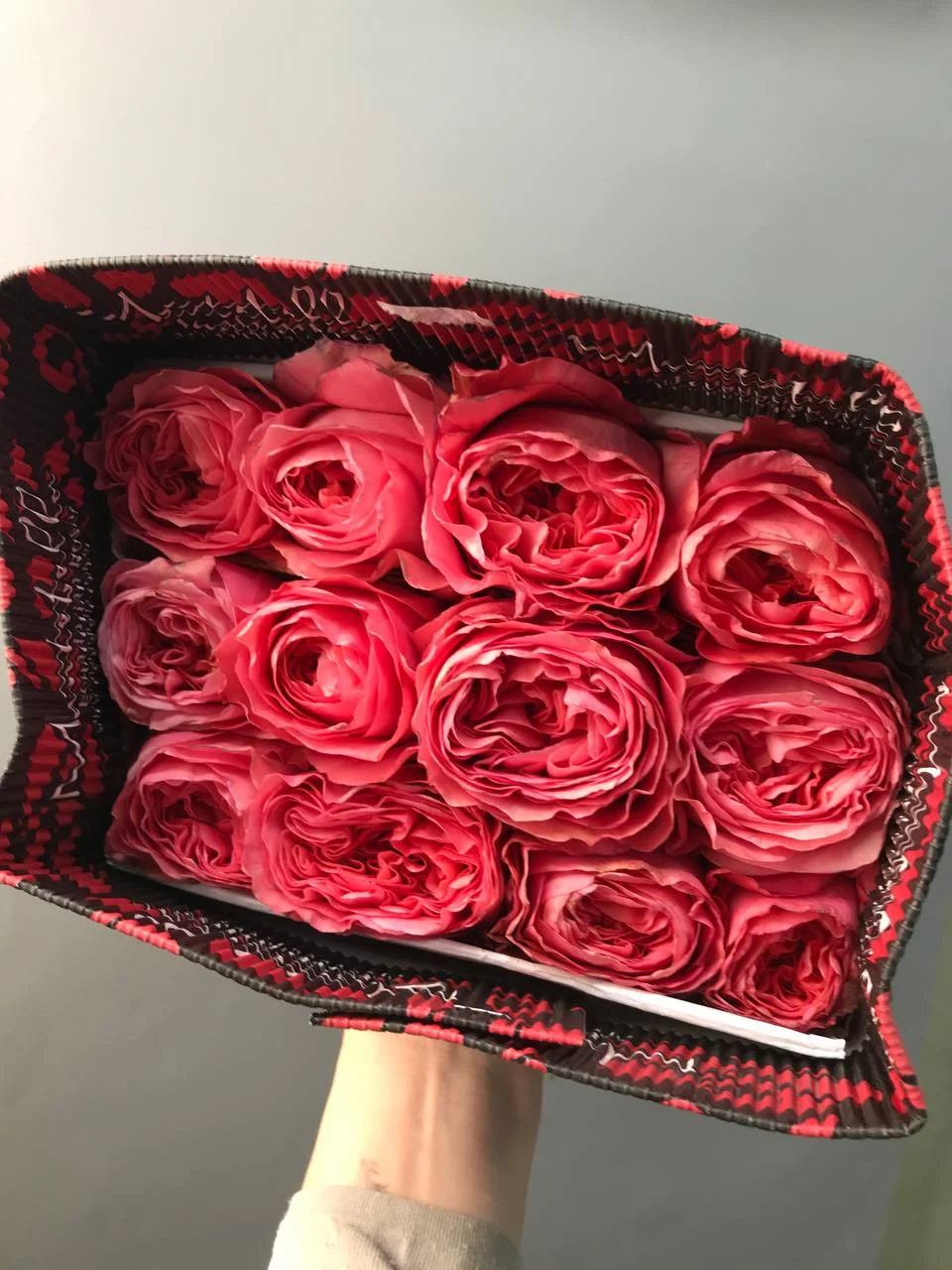 Пачка пионовидных роз “Candy x-pression” 25 шт с доставкой по Астане
