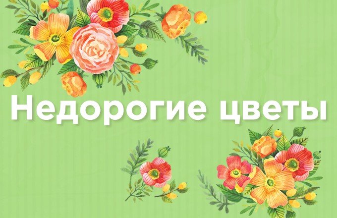 STAGING TEST CRM JPEG FIX 2026-08-01 с доставкой по Астане