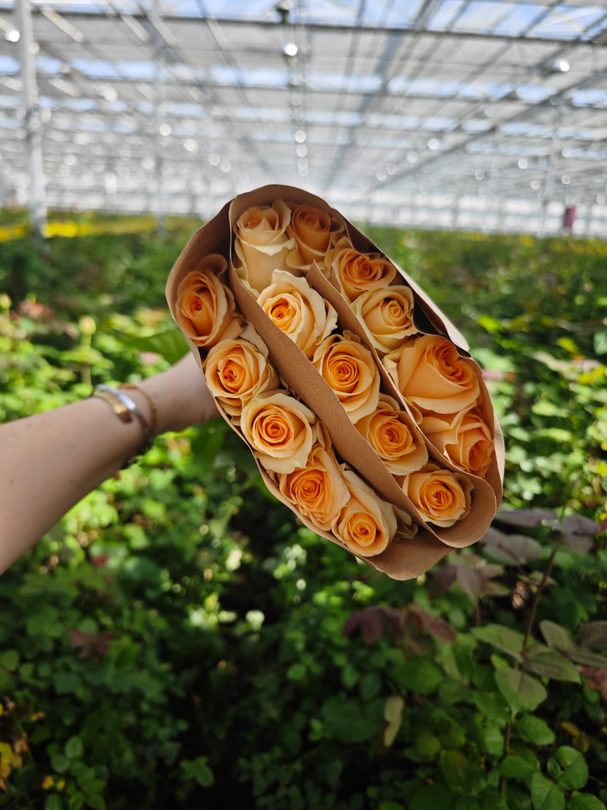 Peach Avalanche в пачке (15шт) с доставкой по Астане