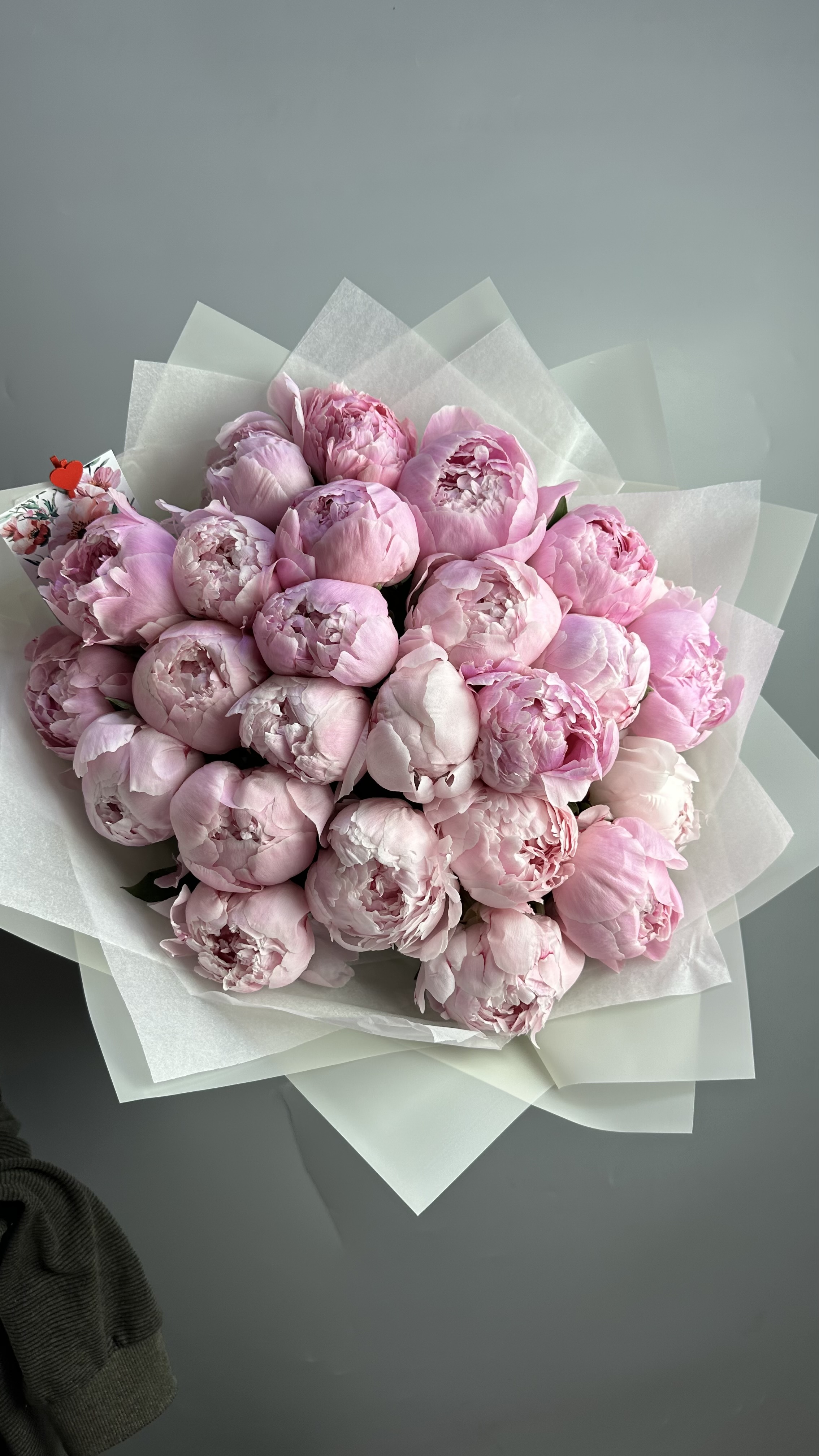 Пионы 25 шт
