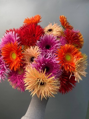 Гербера микс (паук) with delivery to Astana