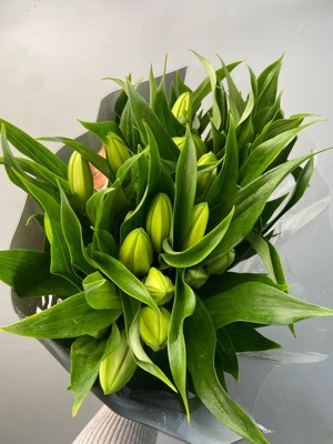 Лилия розовая with delivery to Astana