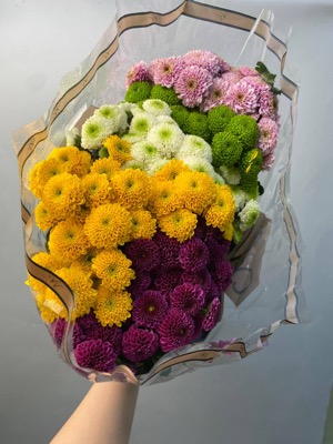Хризантема кустовая микс with delivery to Astana
