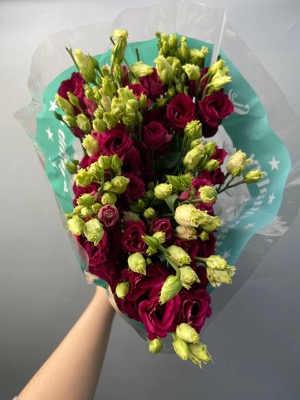 Эустома бордовая with delivery to Astana