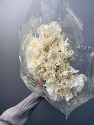 Гвоздика белая (10 шт) with delivery to Astana