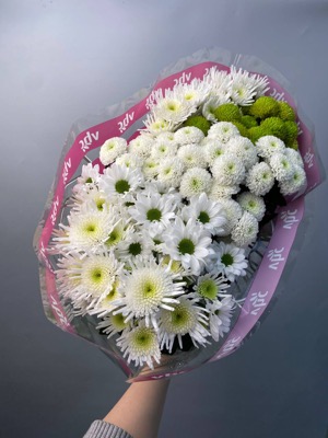 Хризантема белая микс with delivery to Astana