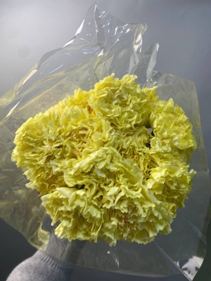 Гвоздика жёлтая (10 шт) with delivery to Astana