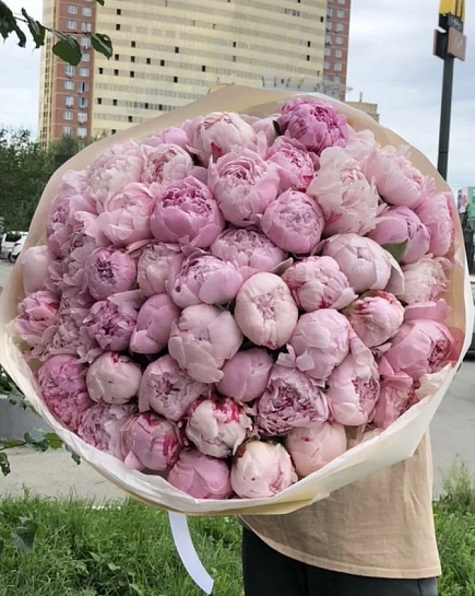 Пионы 75 шт  с доставкой по Астане