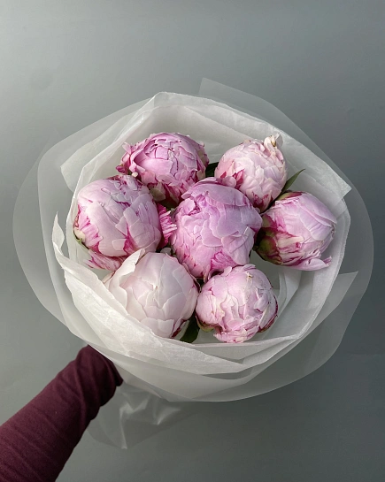 Пионы в букете 7 шт с доставкой по Астане