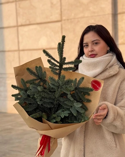 Банч из нобилиса М с доставкой по Astana