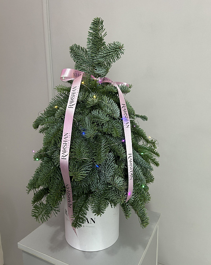 Ёлочка минимализм с доставкой по Astana