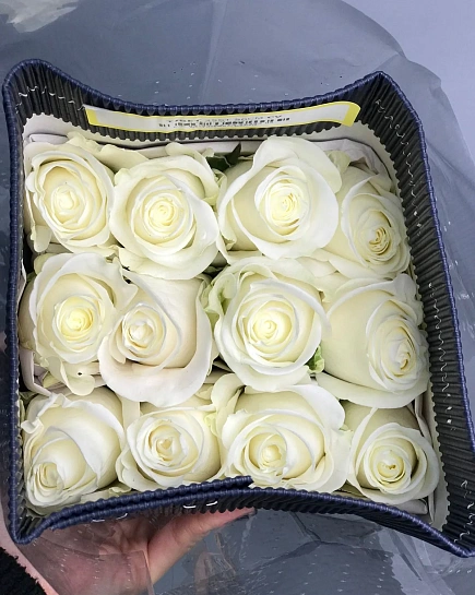 25 белых роз в пачке оптом с доставкой по Астане