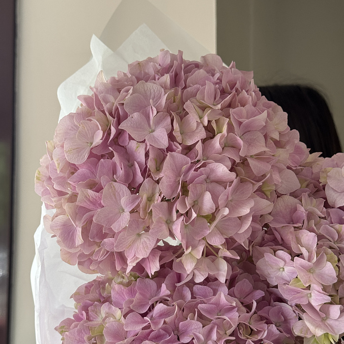 Cloud of Hydrangeas - купить в Астане с доставкой