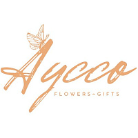 Aycco 
