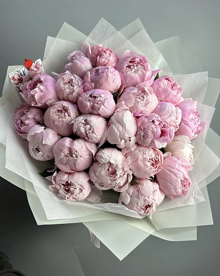 Пионы 25 шт с доставкой по Астане
