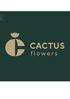 CACTUS Flowers 