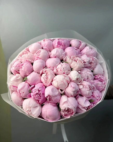 Пионы «Sara bernar” 35 штук в букете  с доставкой по Астане