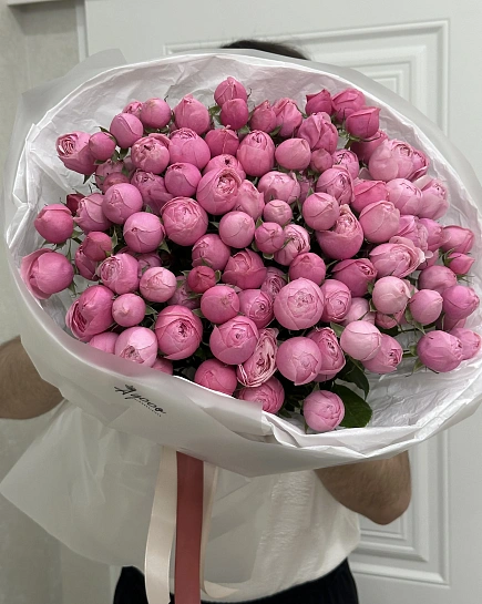 Silva wow с доставкой по Астане