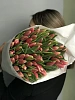 Розовые тюльпаны 50 шт ОПТОМ
