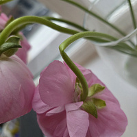 У получателя