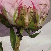 У получателя