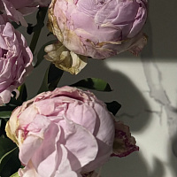 У получателя